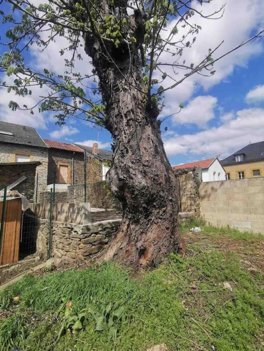 La Cascade Verte /Appartement /Jardin /Parking Braux  Dış mekan fotoğraf
